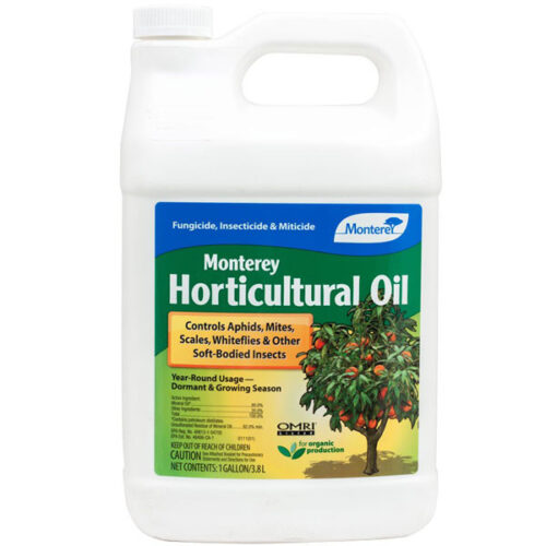 How to Use Horticultural Oil for Pest Control